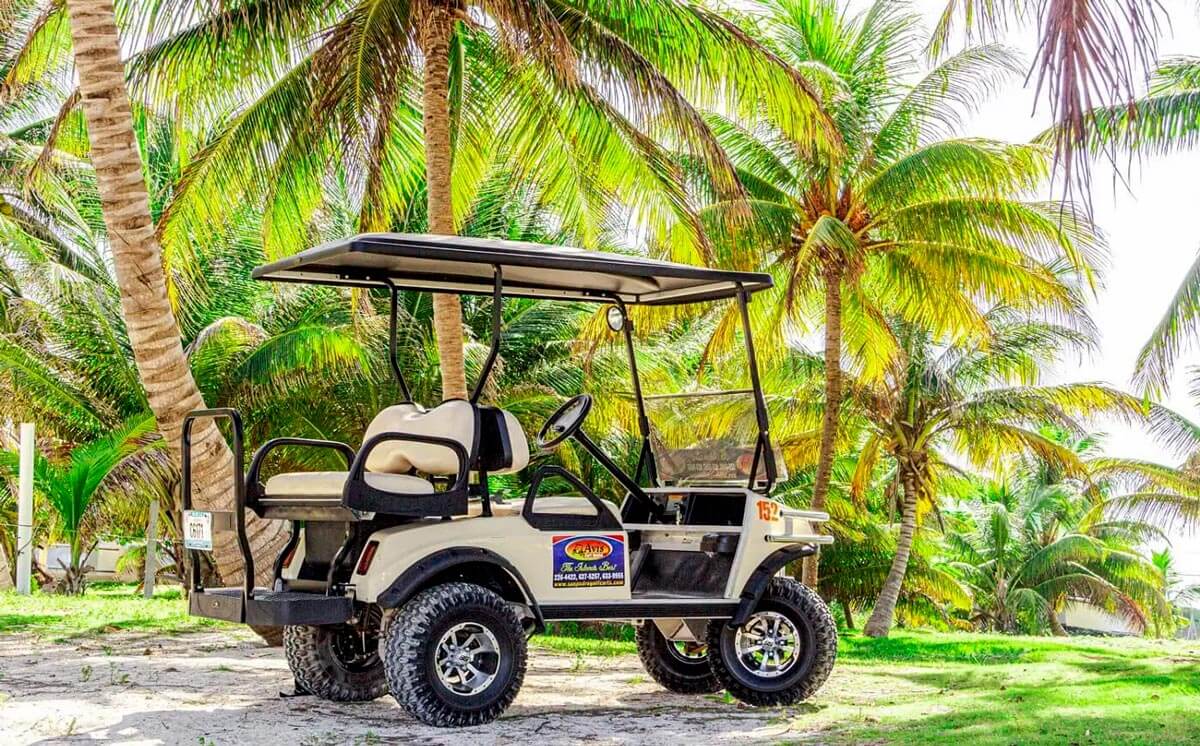 golf cart rental san pedro belize reviews